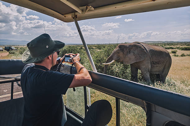 kenya safari activities