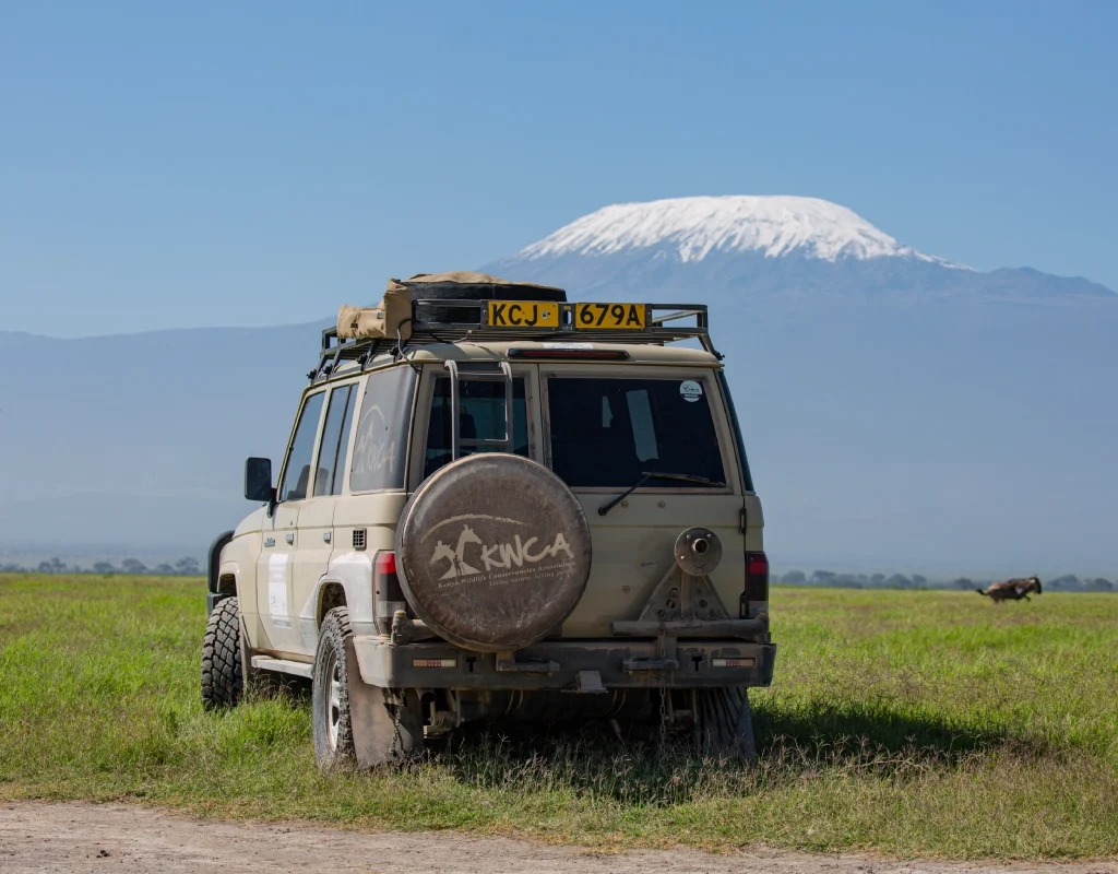 amboseli wildlife, Adventure road trip safaris, Amboseli luxury safari, 1 day Amboseli national park excursion, amboseli kilimanjaro safari, Amboseli safari packages, amboseli safari package