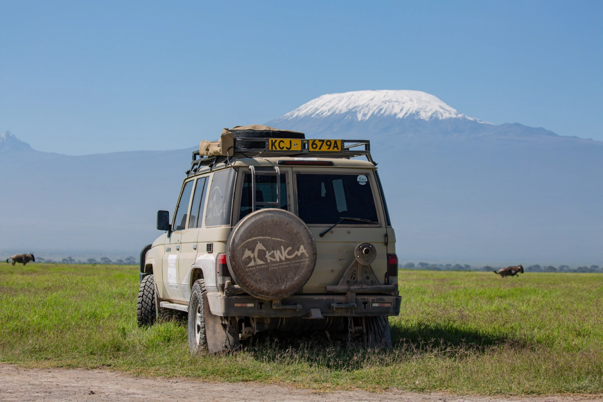 amboseli wildlife, Adventure road trip safaris, Amboseli luxury safari, 1 day Amboseli national park excursion, amboseli kilimanjaro safari, Amboseli safari packages, amboseli safari package