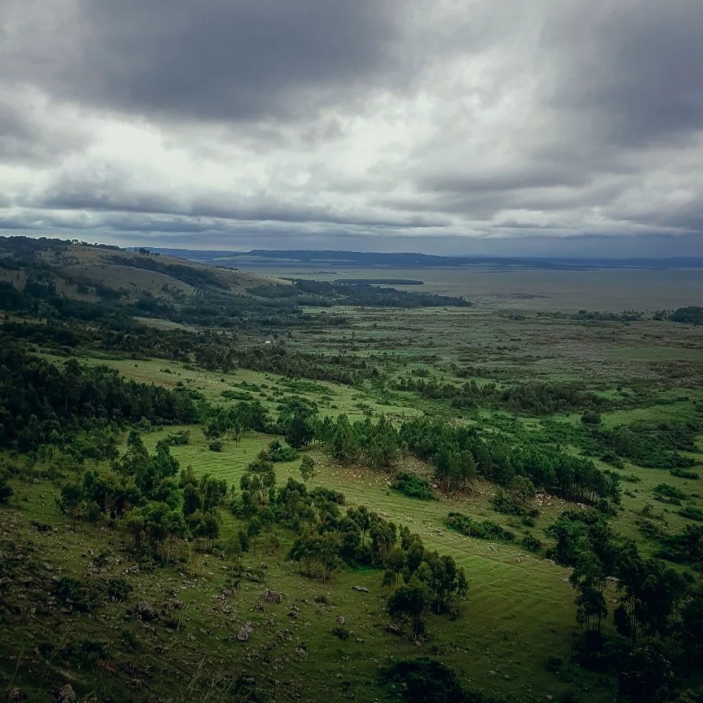 lake nakuru safari