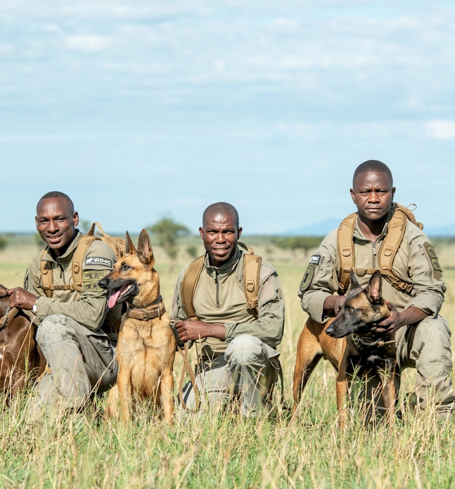 luxury safari tanzania
