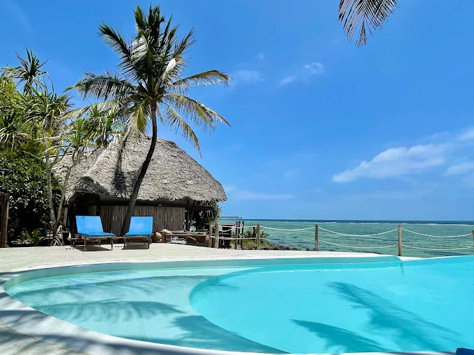 Best Budget-Friendly Safari Company 2026