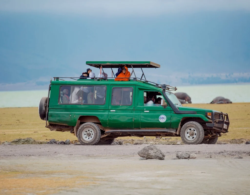 ngorongoro