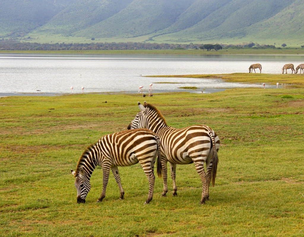 ngorongoro attractions