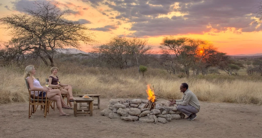 tarangire safari