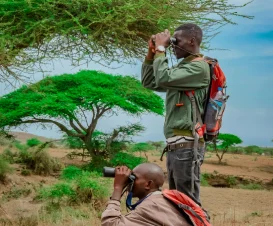 10-Day Kenya Bush & Beach Safari: Nairobi, Lake Nakuru, Masai Mara & Diani