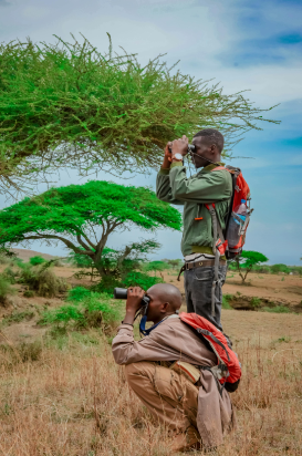 10-Day Kenya Bush & Beach Safari: Nairobi, Lake Nakuru, Masai Mara & Diani