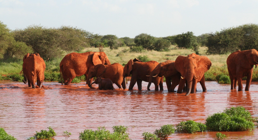 3 days Tsavo West safari from Nairobi