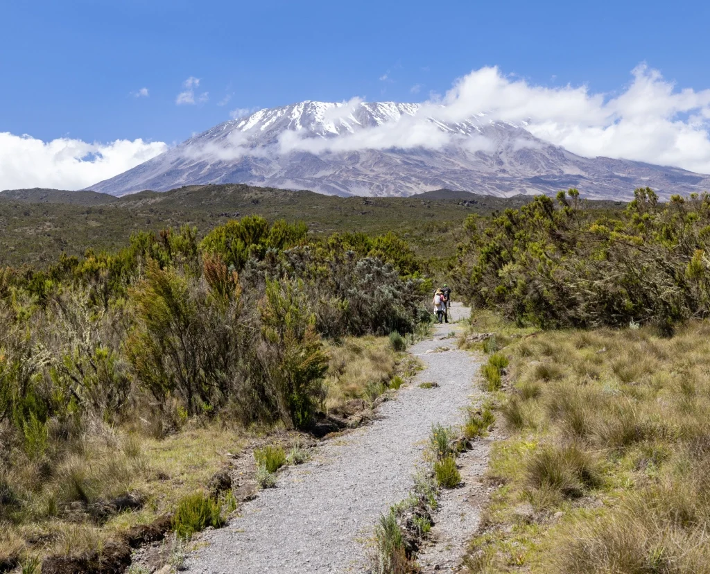 6-Day Kilimanjaro Climbing via Machame Route
