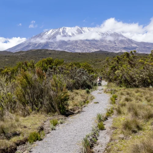 6-Day Kilimanjaro Climbing via Machame Route