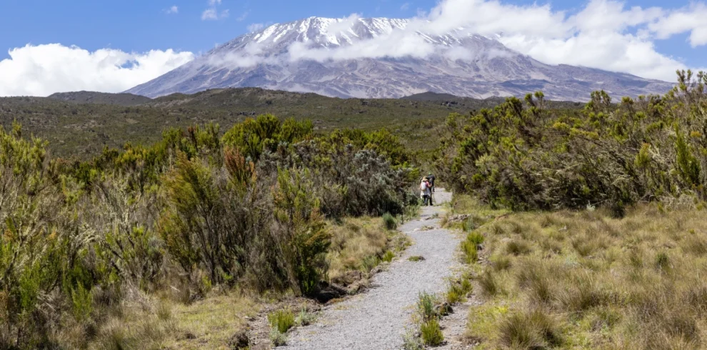 6-Day Kilimanjaro Climbing via Machame Route
