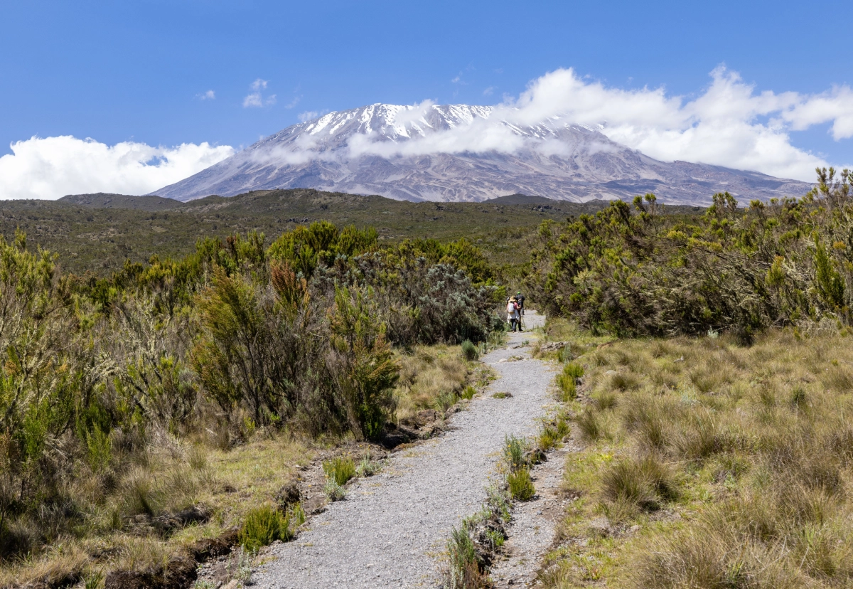 6-Day Kilimanjaro Climbing via Machame Route