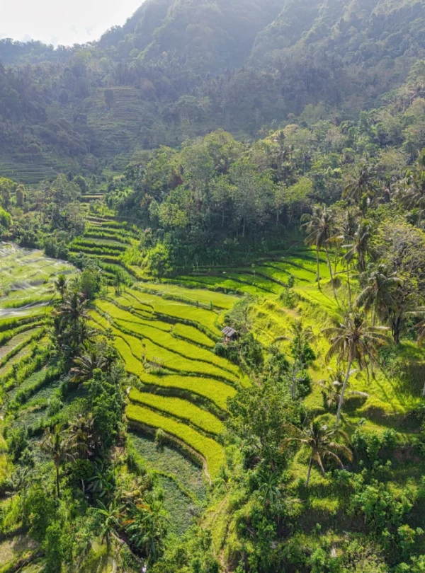 Bali vacation package, Bali tour package