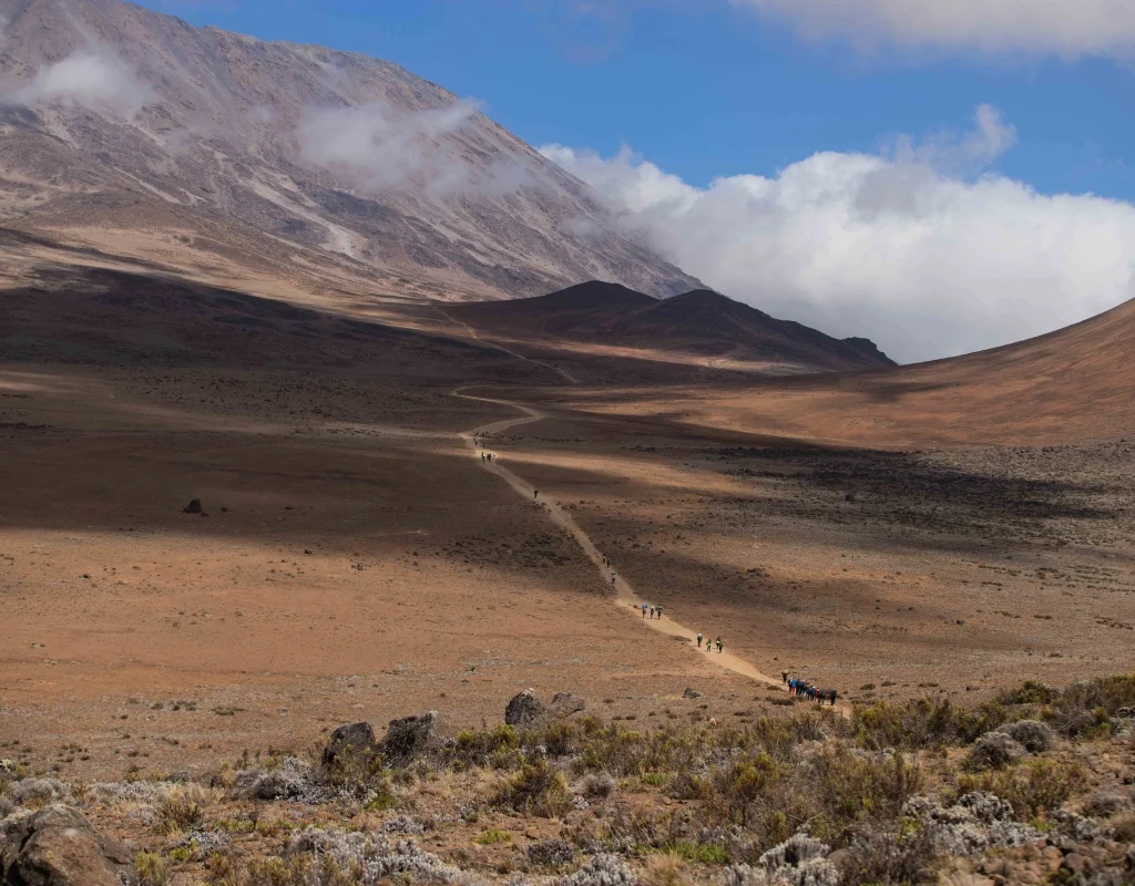 Kilimanjaro hiking package