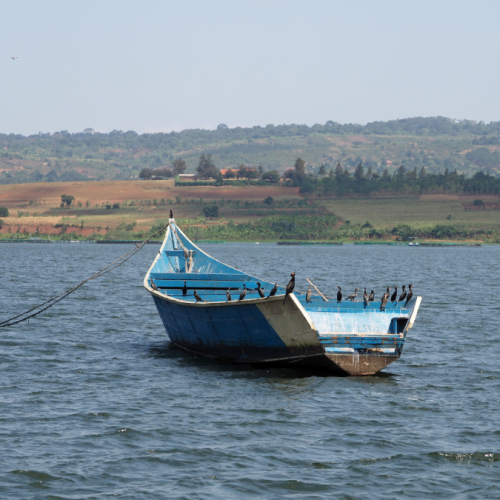 7 Days Western Kenya Cultural Safari, Tobong'u Lore Lake Turkana Cultural Festival Safari