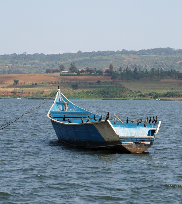 7 Days Western Kenya Cultural Safari, Tobong'u Lore Lake Turkana Cultural Festival Safari
