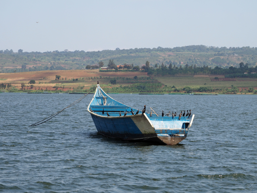 7 Days Western Kenya Cultural Safari, Tobong'u Lore Lake Turkana Cultural Festival Safari