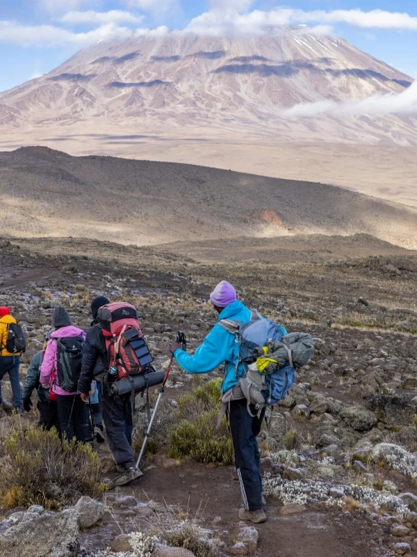Machame Route trek