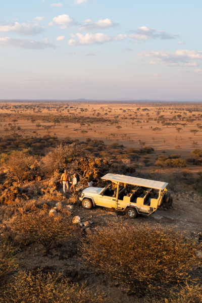 Morning vs Evening Game Drives