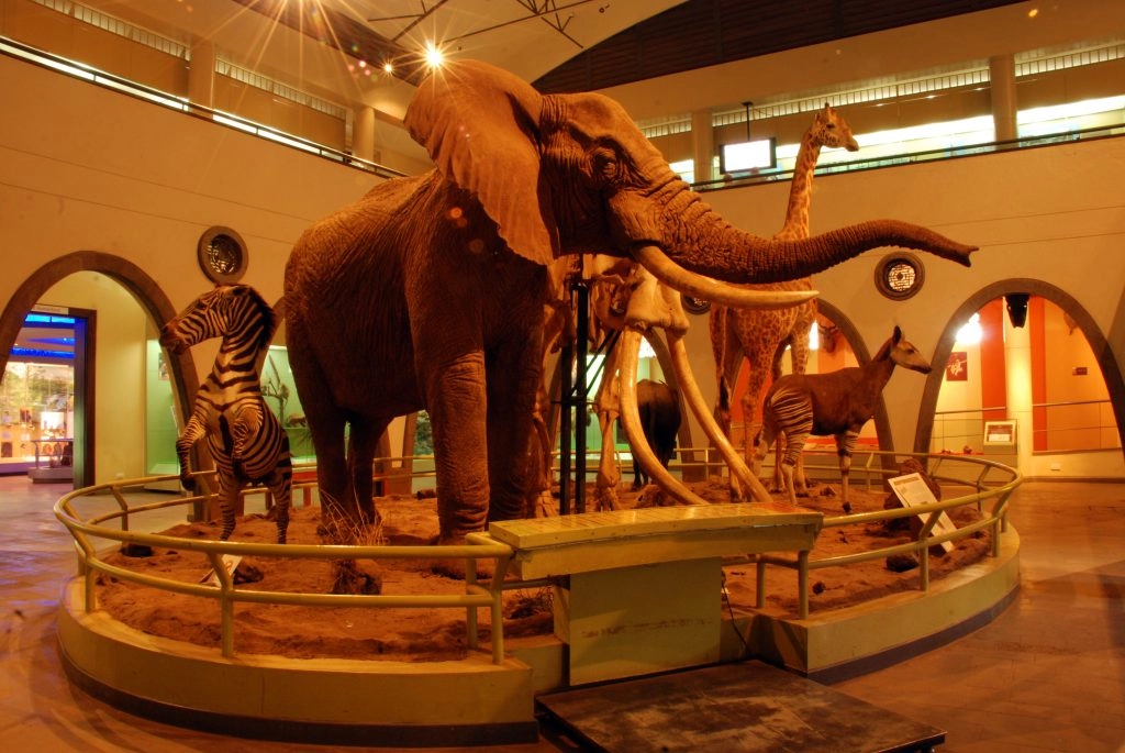 Museums in Nairobi