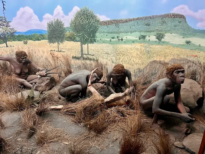 National Museums of Kenya
