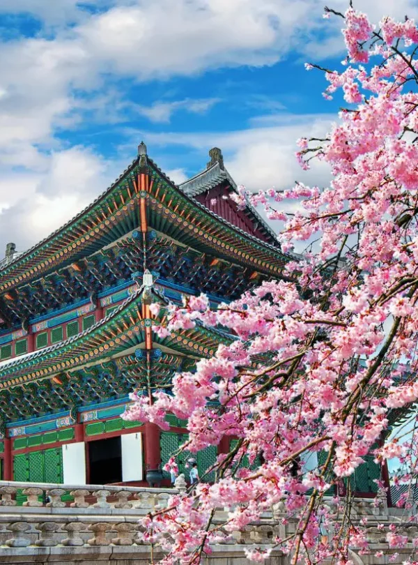South Korea holiday package