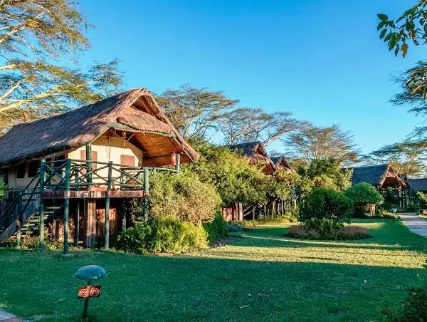 Sweetwaters Serena Camp Safari