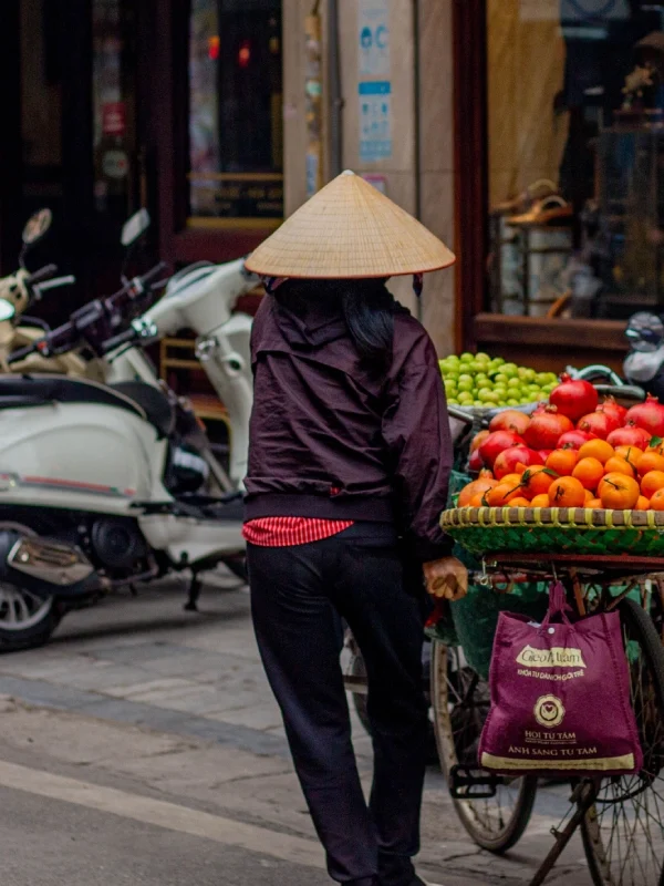 Vietnam tour package from Kenya