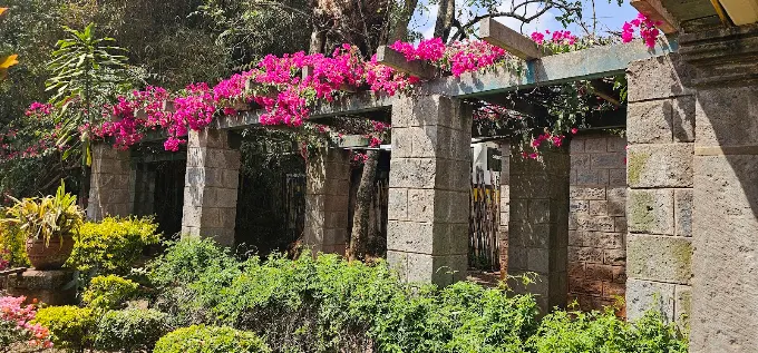 karen blixen museum tour