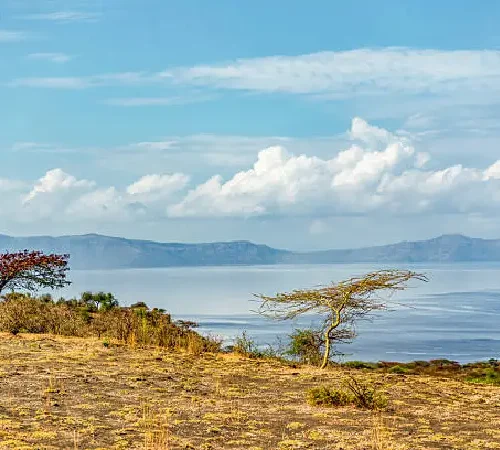 2 Days Lake Langano Tour – Amazing Ethiopian Rift Valley Escape
