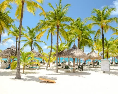 3 Day Neptune Palm Beach Flying Holiday