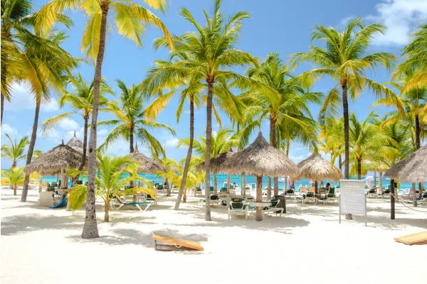 3 Day Neptune Palm Beach Flying Holiday
