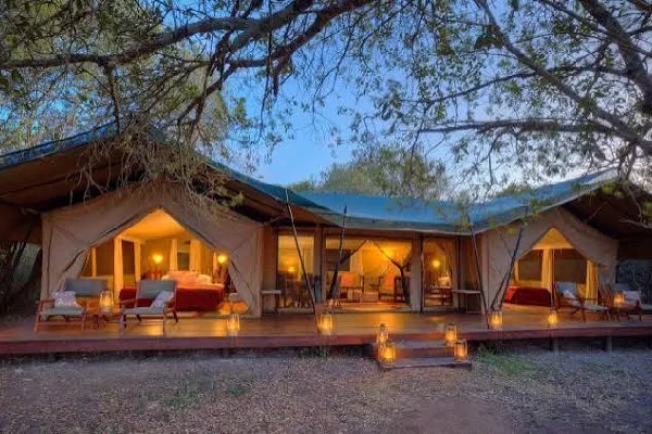 3 Day Ol Pejeta Bush Camp Safari – Amazing Wildlife Escape