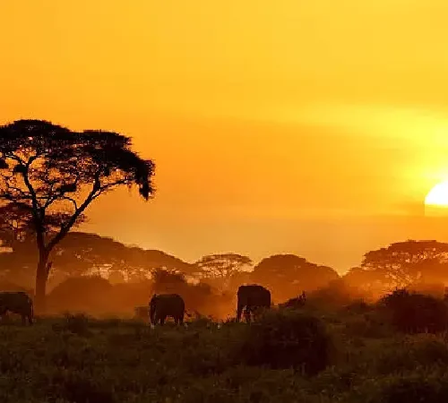 3 day ol tukai lodge in amboseli by crystal tours (1)