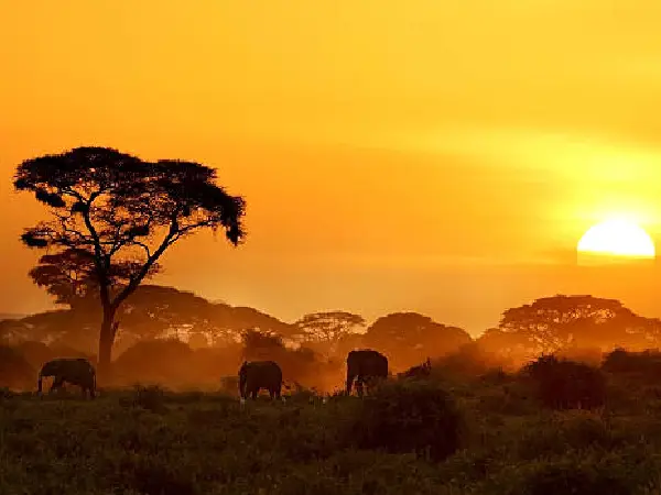 3 day ol tukai lodge in amboseli by crystal tours (1)