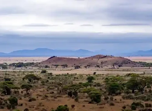 4-Day Luxury Tanzania Safari_ Tarangire, Ngorongoro & Lake Manyara Crystal Tours