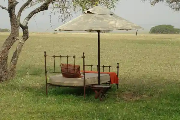 5-Day Luxury Tanzania Safari: Lake Manyara, Ngorongoro & Western Serengeti
