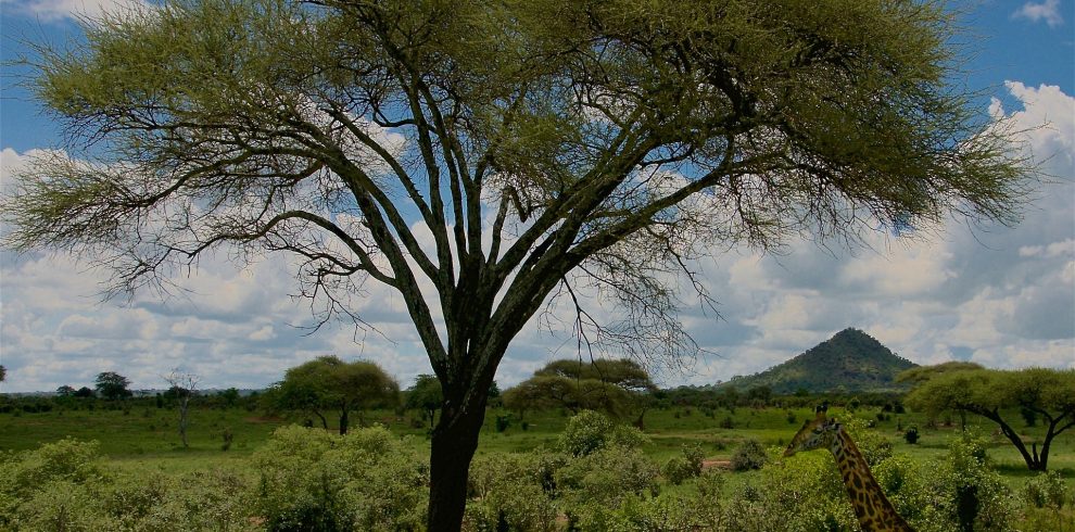 10-Day Kenya & Tanzania Luxury Safari