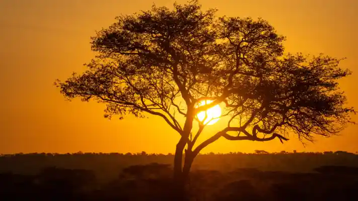 9-Day Luxury Tanzania Safari: Tarangire, Lake Manyara, Ngorongoro & Serengeti Crystal Tours