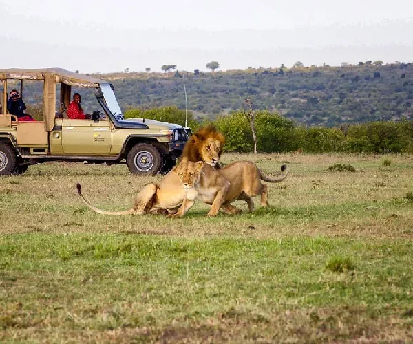 Basecamp Mara 2 Nights – Unforgettable Luxury Maasai Mara Safari (Non-Resident)