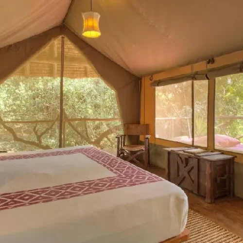 Basecamp Mara 2 Nights – Unforgettable Luxury Maasai Mara Safari (Non-Resident)