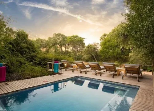 Bateleur Camp 2 Nights – Unforgettable Luxury Maasai Mara Safari (Non-Resident)