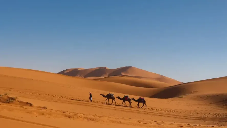 Chalbi by crystal tours