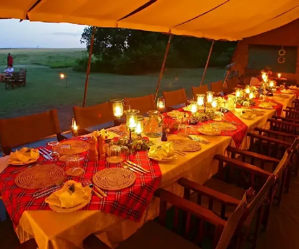 Elewana Elephant Pepper Camp 2 Nights – Unforgettable Luxury Maasai Mara Safari (Non-Resident)