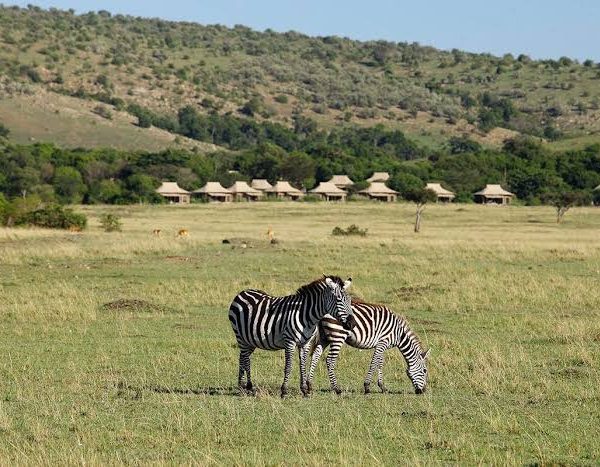 Kichwa Tembo Tented Camp 2 Nights – Unforgettable Luxury Safari Escape