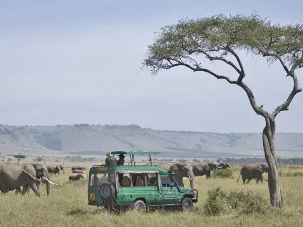 Mara Serena 2 Nights – Unforgettable Luxury Maasai Mara Safari (Non-Resident)