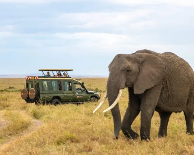 Meru national park by crystal by crystal tours
