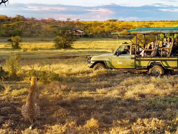 Naboisho Camp 2 Nights – Unforgettable Luxury Maasai Mara Safari