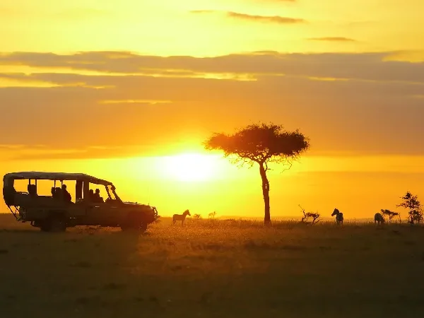 Naboisho Camp 2 Nights – Unforgettable Luxury Maasai Mara Safari