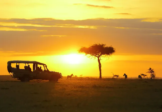 Naboisho Camp 2 Nights – Unforgettable Luxury Maasai Mara Safari
